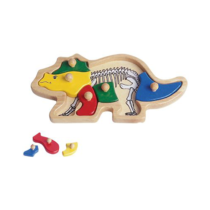 Triceratops in legno
