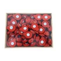 coccinelle in legno adesive
